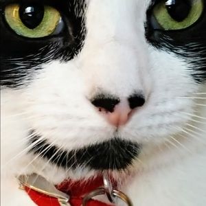 Meet your Posher, Ann-marie